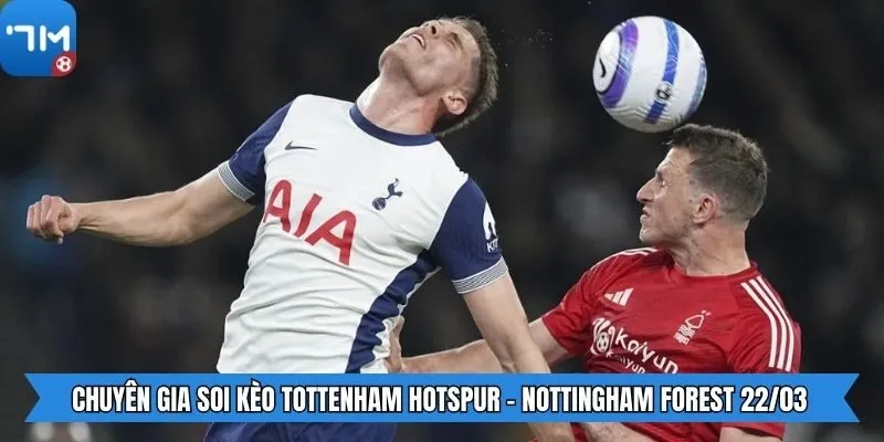 Chuyên gia soi kèo Tottenham Hotspur - Nottingham Forest 22/03 