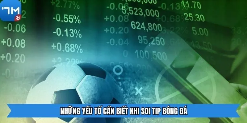 Những yếu tố cần biết khi soi tip bóng đá